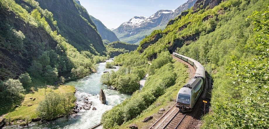 Norway in a Nutshell (Scenic Train & Fjord Cruise)
